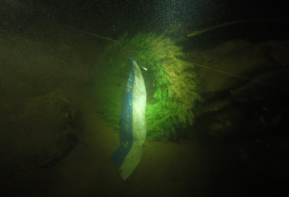 Havuseppele järven pohjassa lentokoneen osan vieressä.