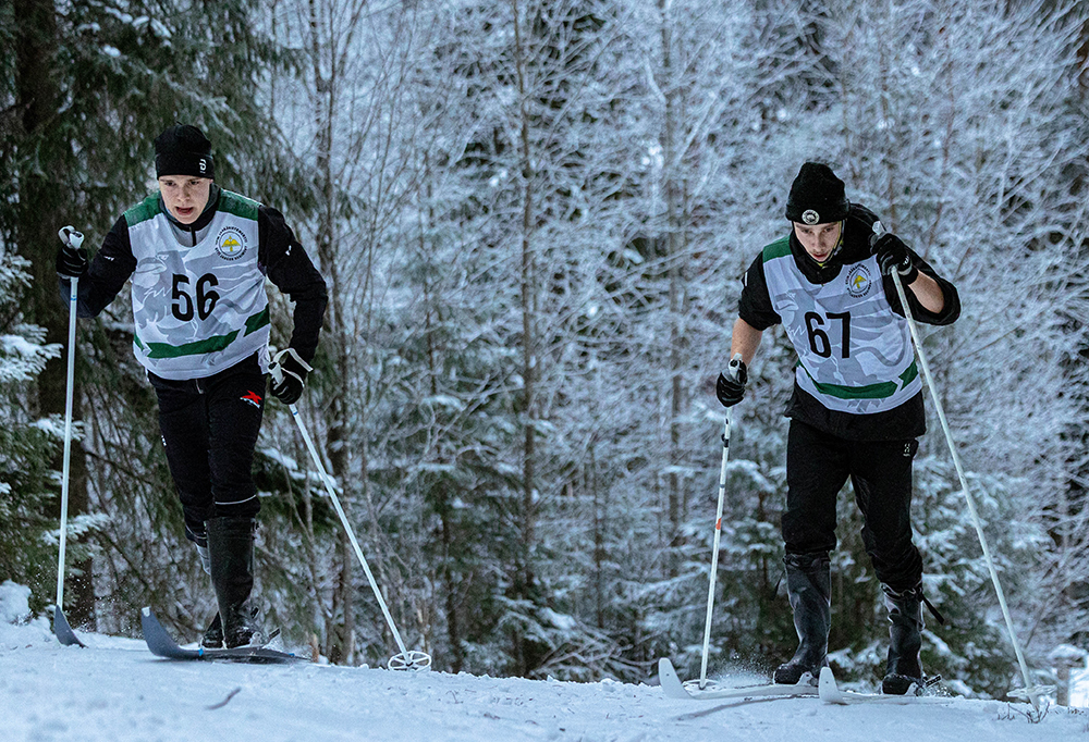 Kaksi hiihtäjää metsän reunustamalla ladulla.