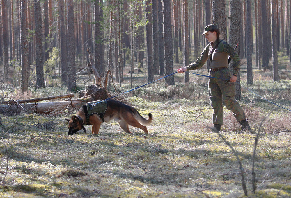 Kuvassa alikersantti Veera Järvinen ja sotakoira Aapo.